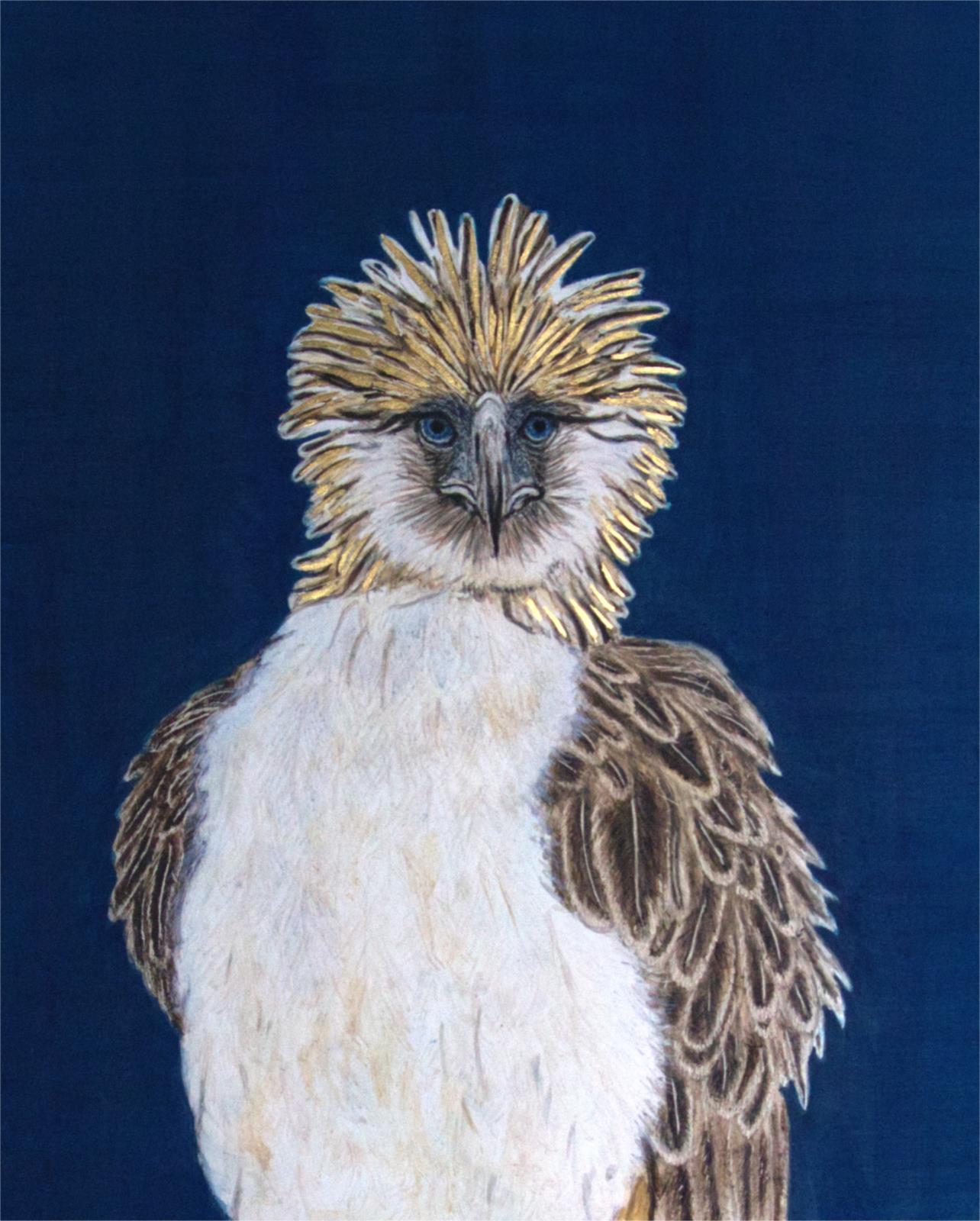 Philippine Eagle, Critically Endangered